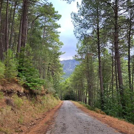 El Refugio De Gredos *