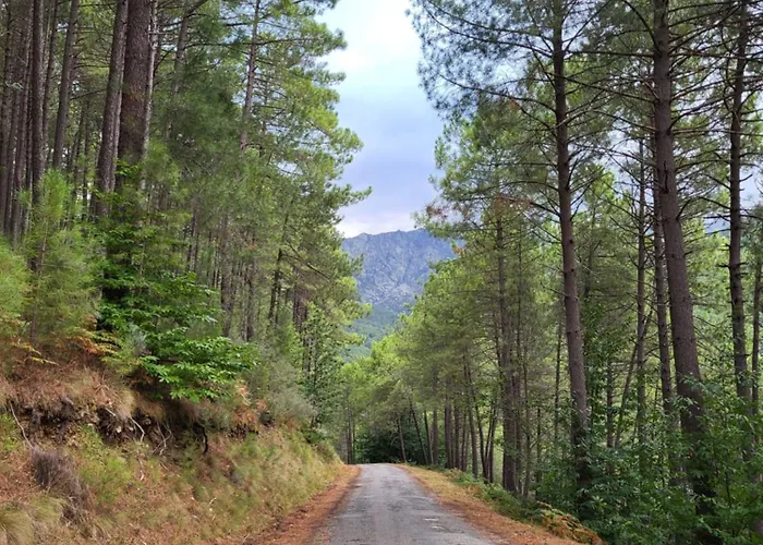 El Refugio De Gredos *
